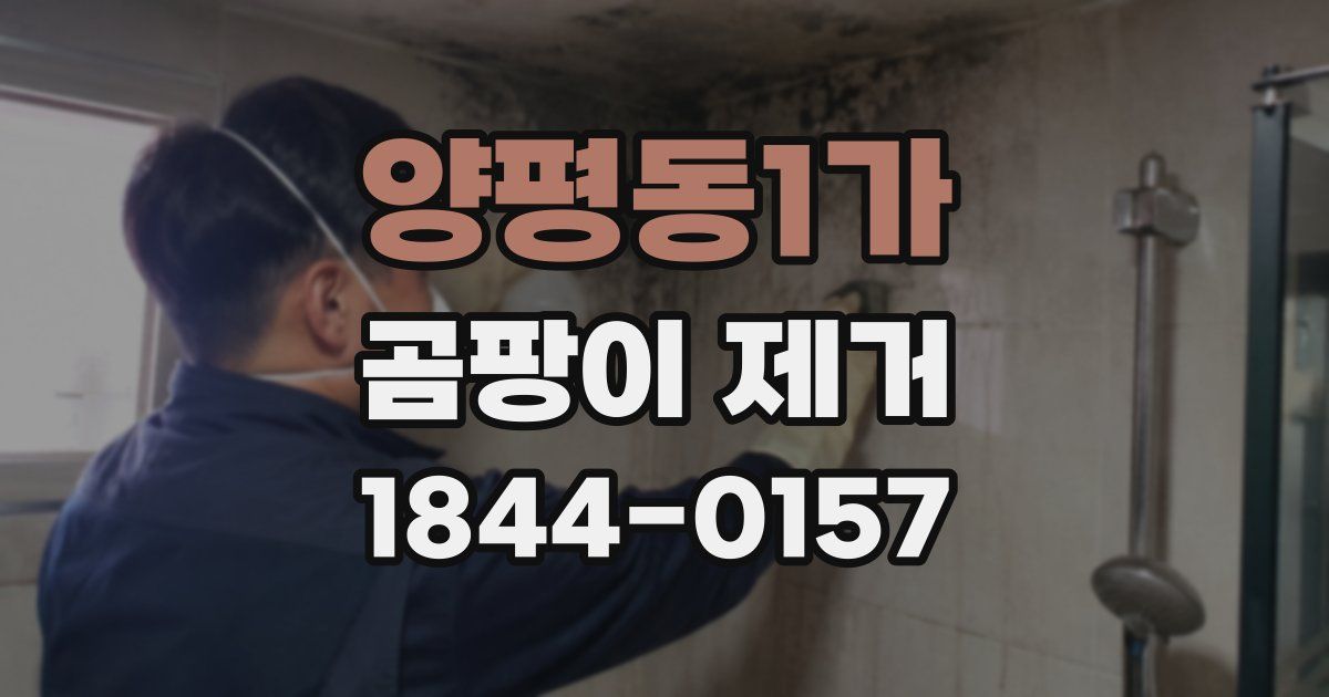 양평동1가 곰팡이 제거