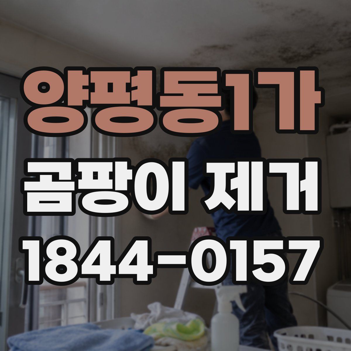 양평동1가 곰팡이 제거