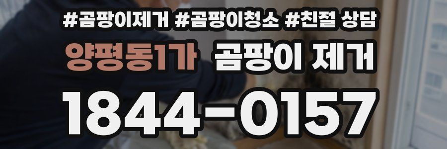 양평동1가 곰팡이 제거