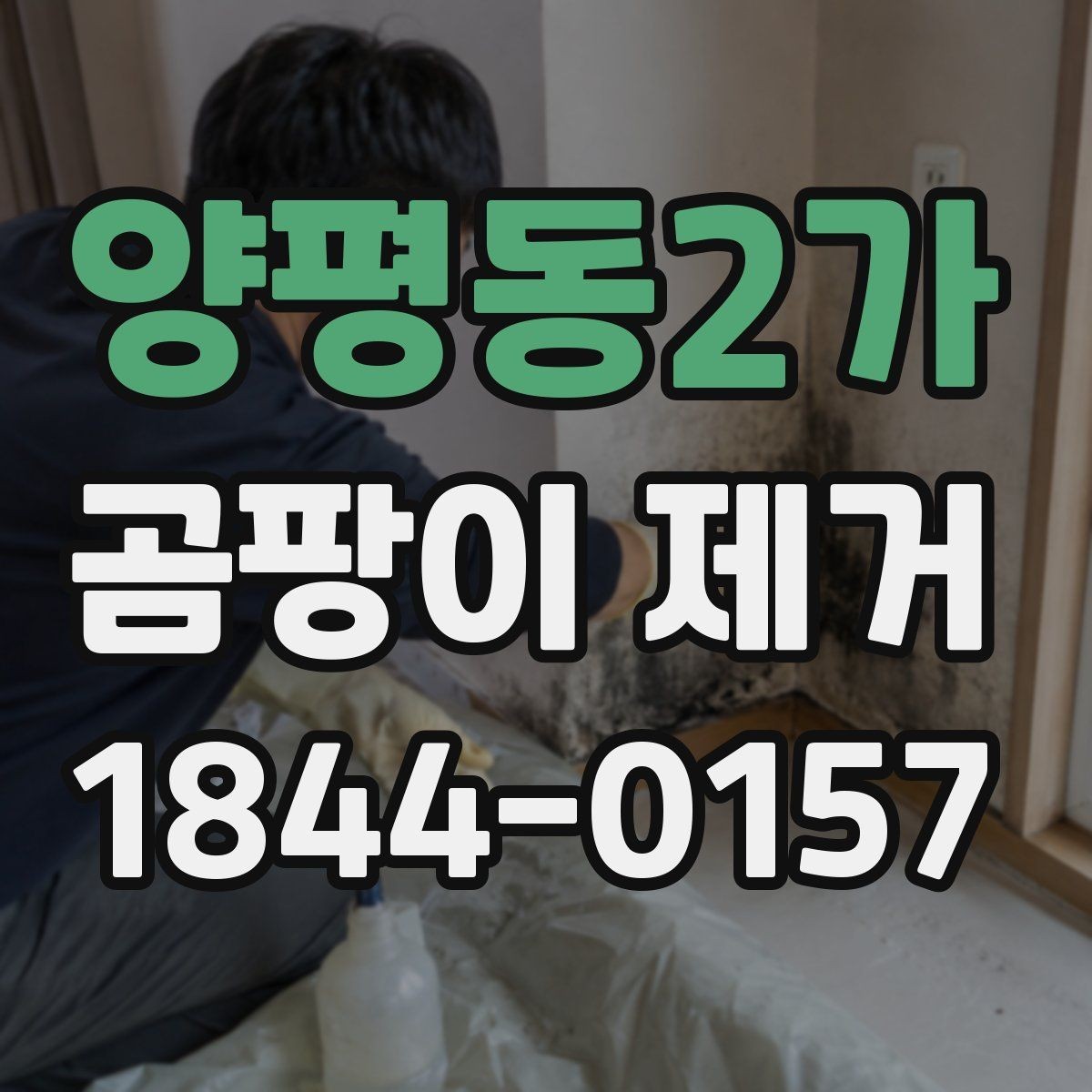 양평동2가 곰팡이 제거 시 약품 사용 범위와 확인 사항