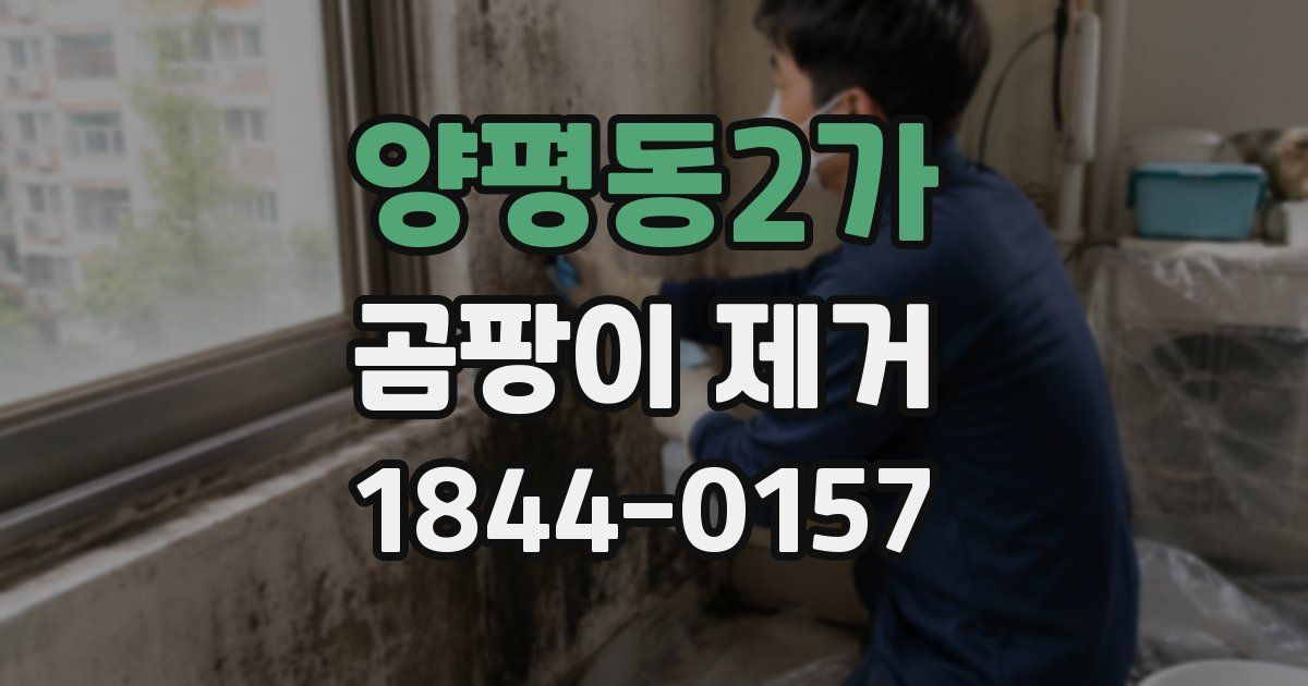 양평동2가 곰팡이 제거