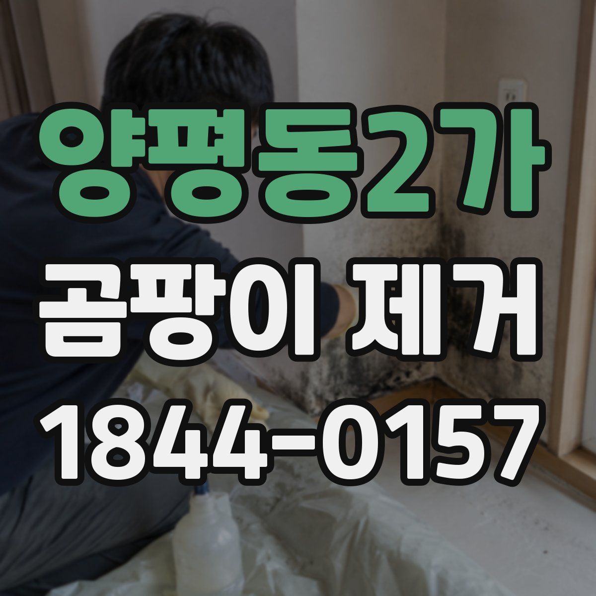 양평동2가 곰팡이 제거