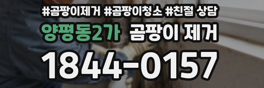 양평동2가 곰팡이 제거