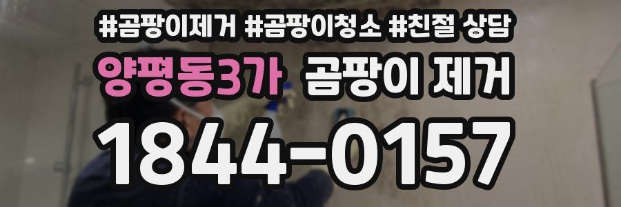 양평동3가 곰팡이 제거
