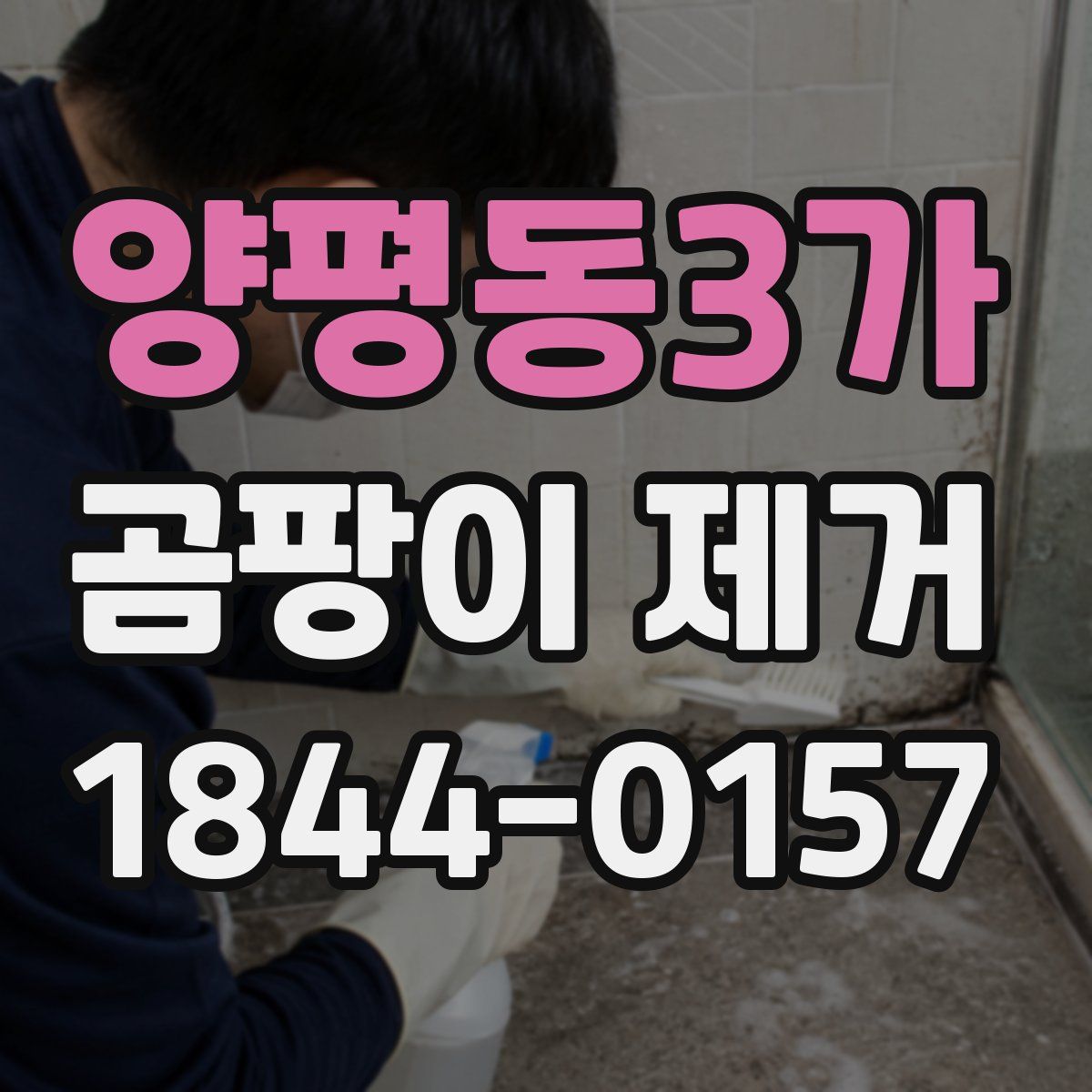 양평동3가 곰팡이 제거
