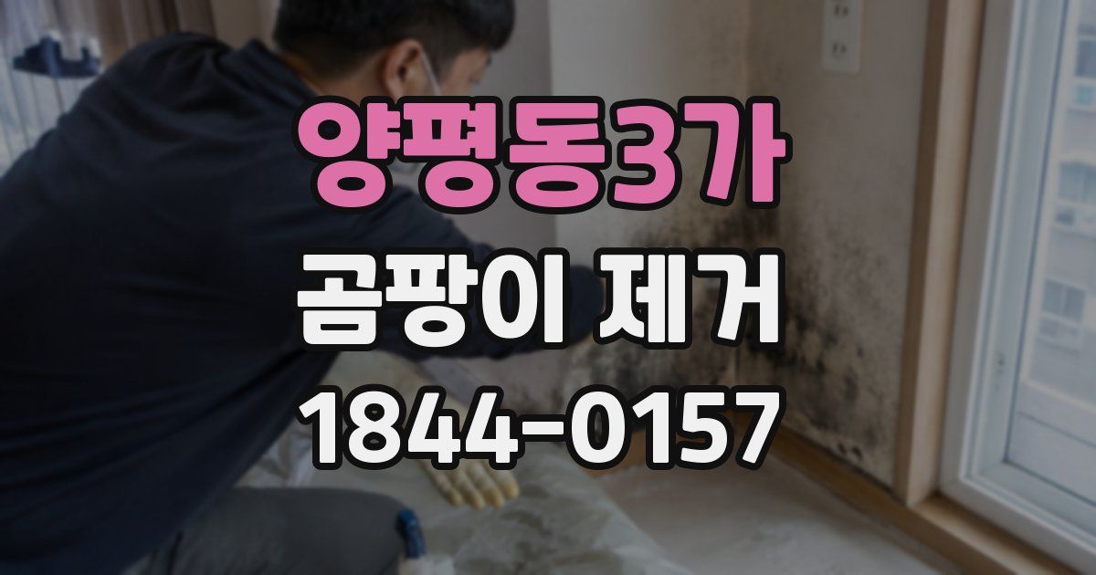 양평동3가 곰팡이 제거