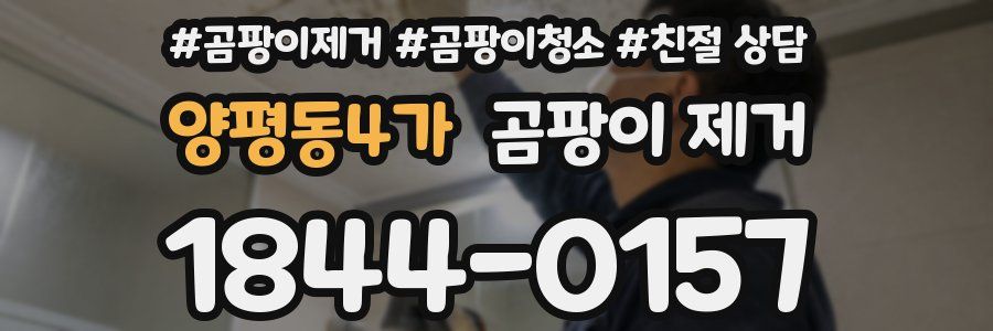 양평동4가 곰팡이 제거