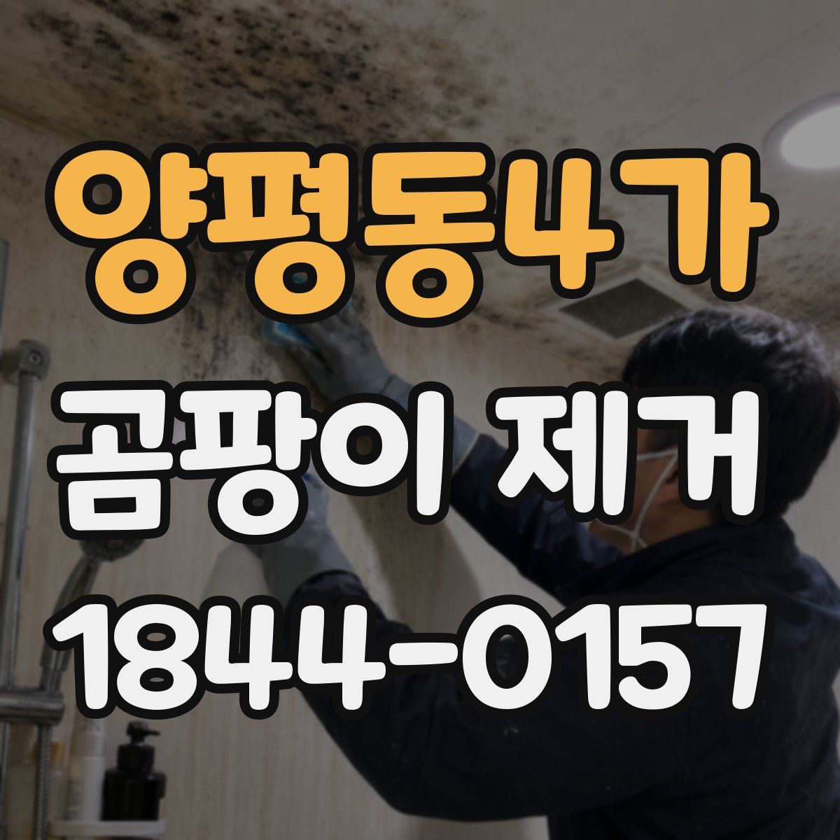양평동4가 곰팡이 제거