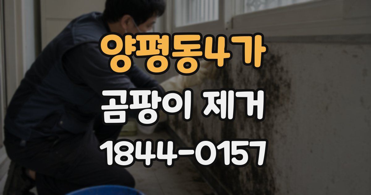 양평동4가 곰팡이 제거