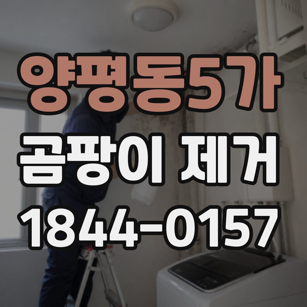 양평동5가 곰팡이 제거