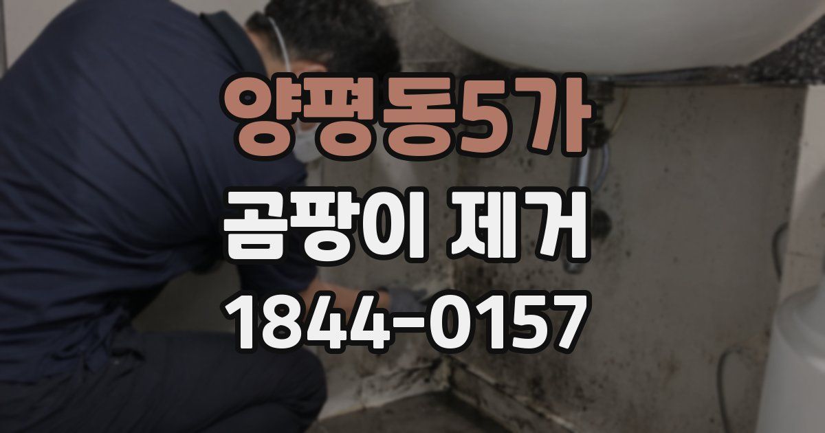 양평동5가 곰팡이 제거