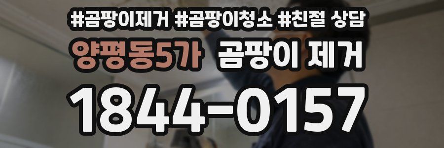 양평동5가 곰팡이 제거