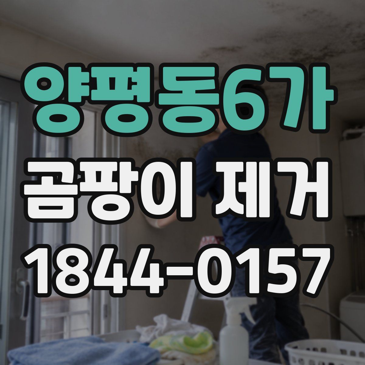 양평동6가 곰팡이 제거