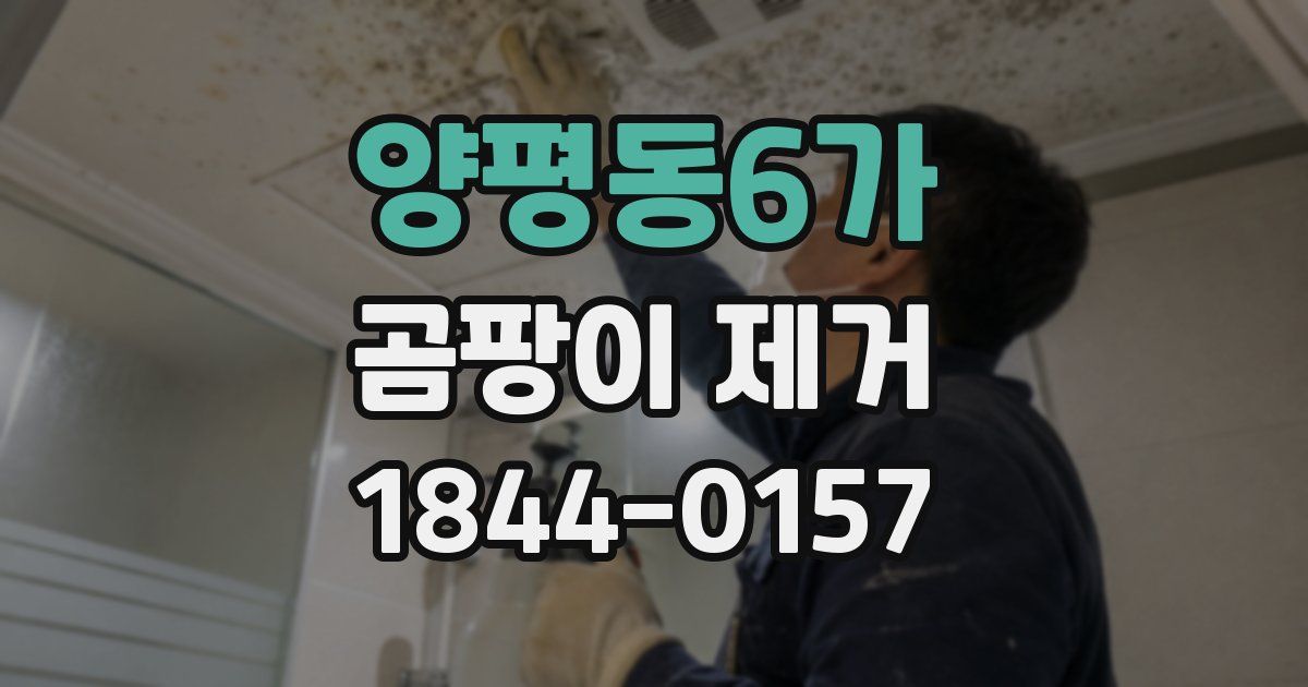 양평동6가 곰팡이 제거