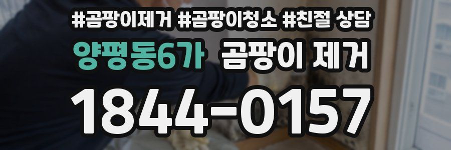 양평동6가 곰팡이 제거