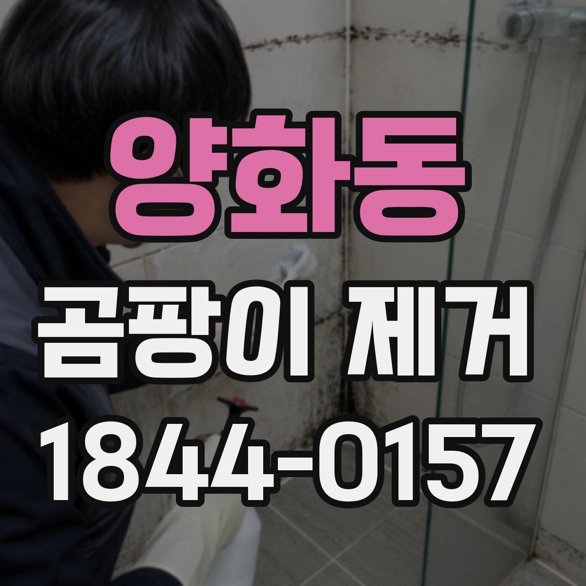 양화동 곰팡이 제거