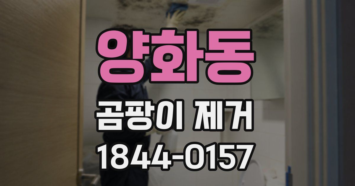 양화동 곰팡이 제거