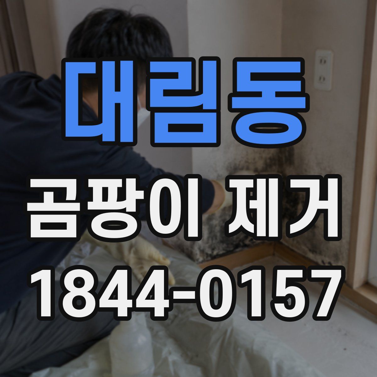 대림동 곰팡이 제거