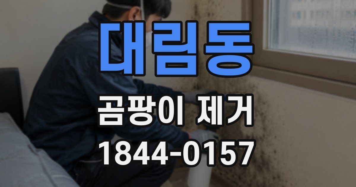 대림동 곰팡이 제거