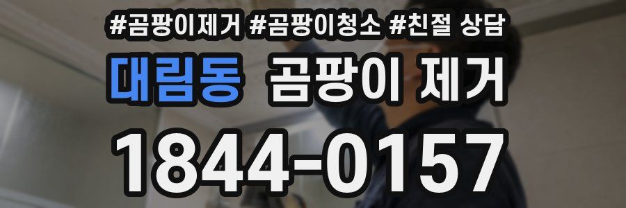 대림동 곰팡이 제거