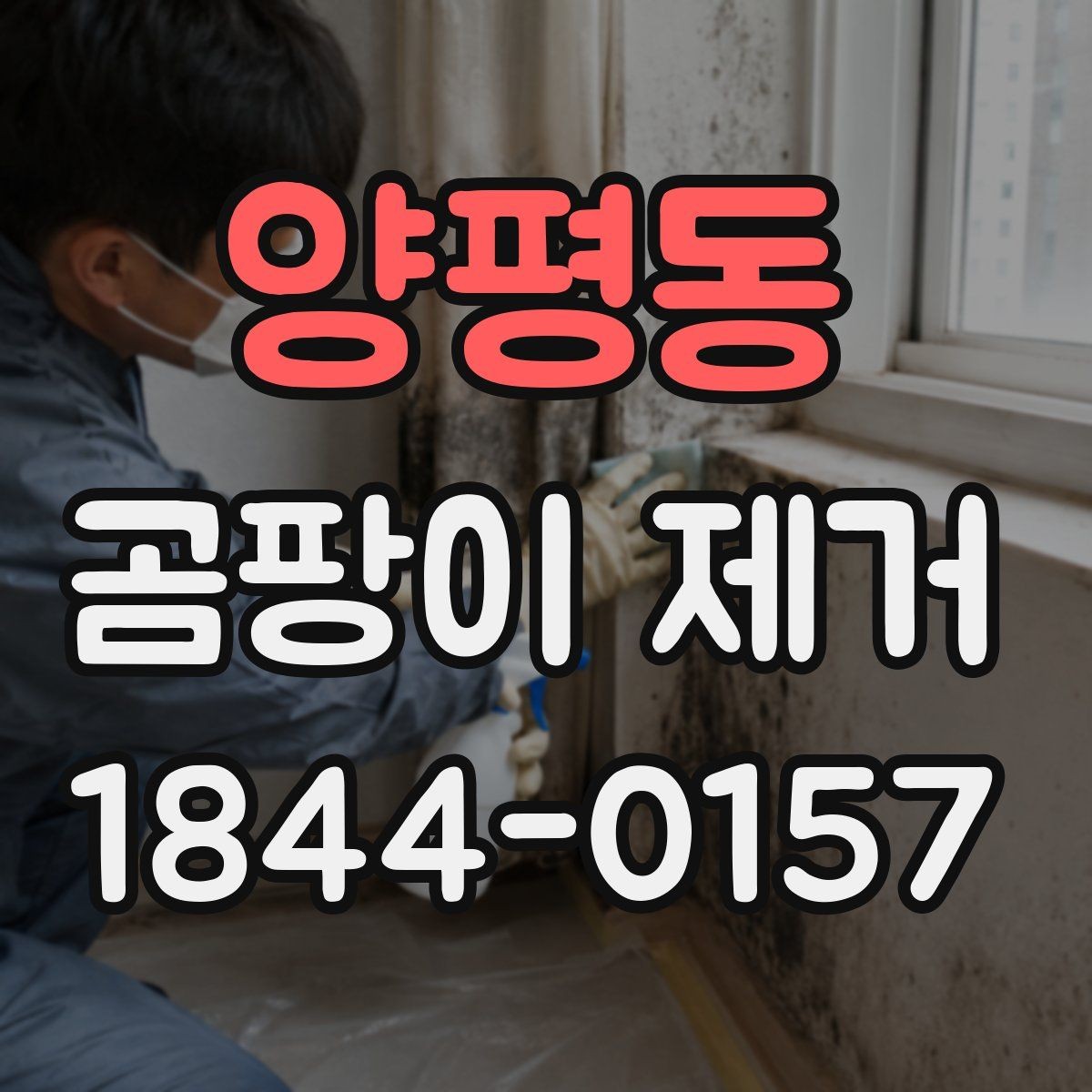 양평동 곰팡이 제거 습한 벽면을 오래 두지 않는 방법