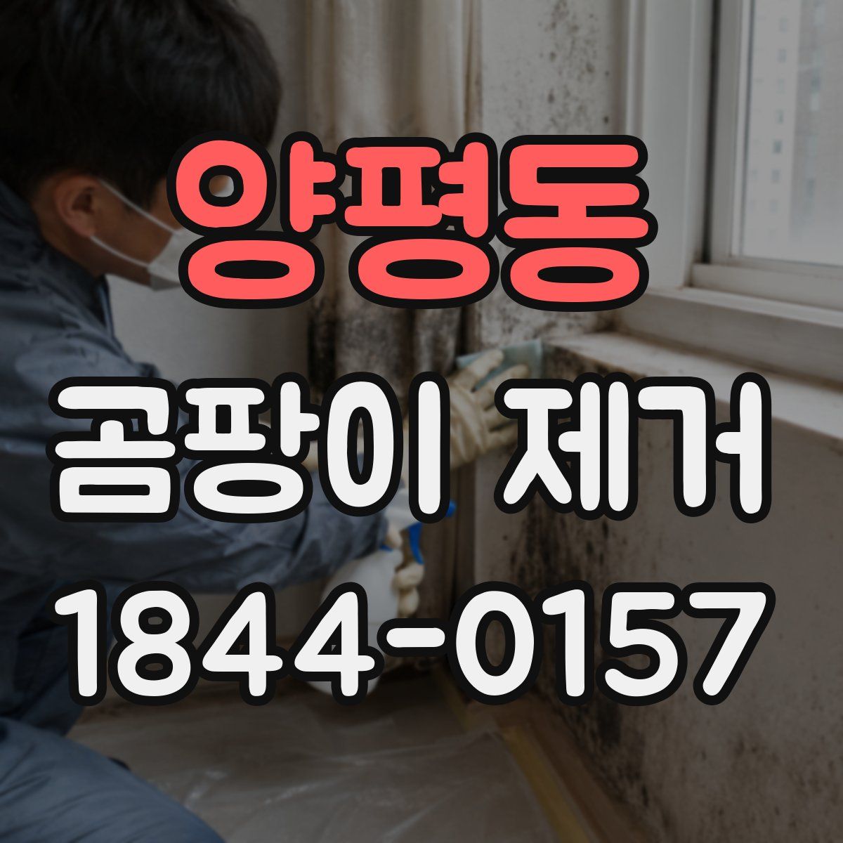 양평동 곰팡이 제거