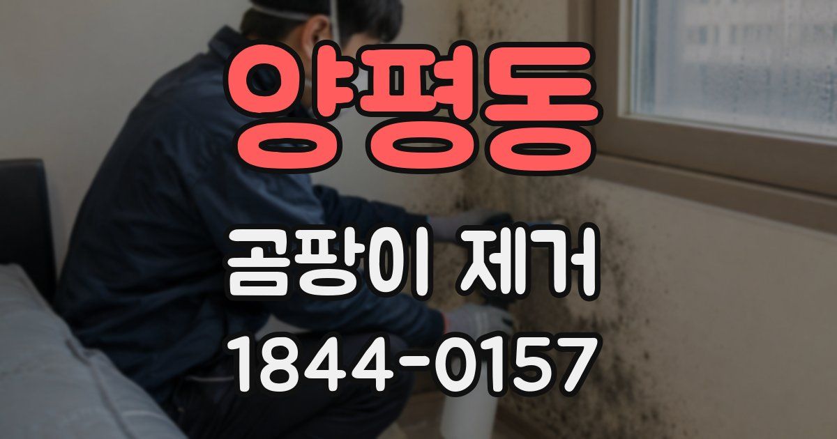 양평동 곰팡이 제거
