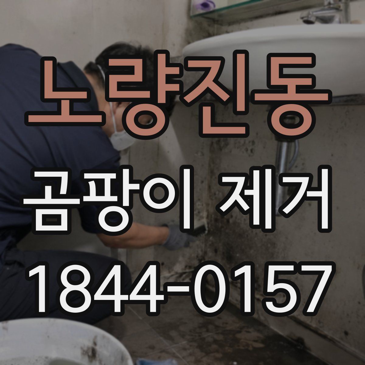 노량진동 곰팡이 제거