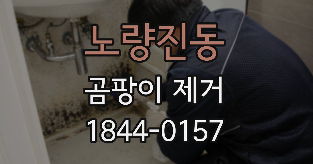 노량진동 곰팡이 제거