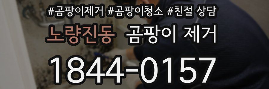 노량진동 곰팡이 제거