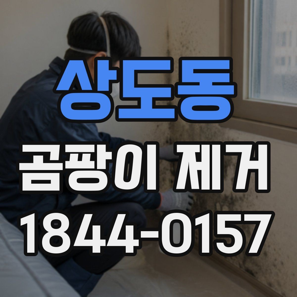 상도동 곰팡이 제거 베란다 곰팡이 원인과 대처