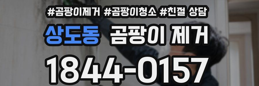 상도동 곰팡이 제거