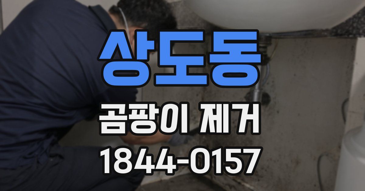 상도동 곰팡이 제거