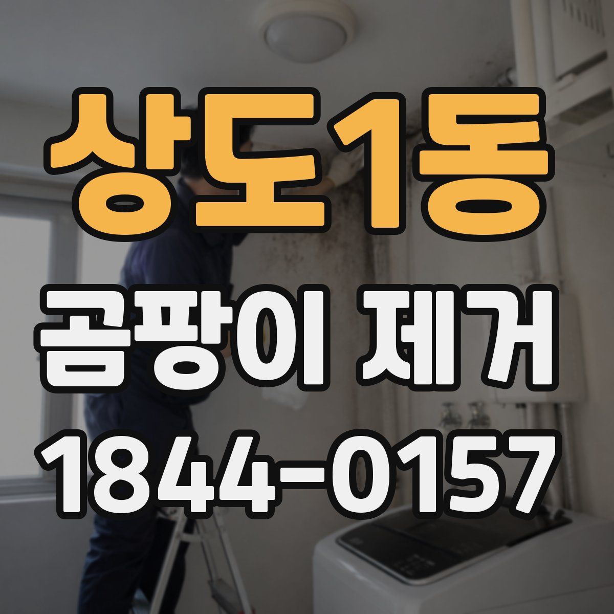 상도1동 곰팡이 제거