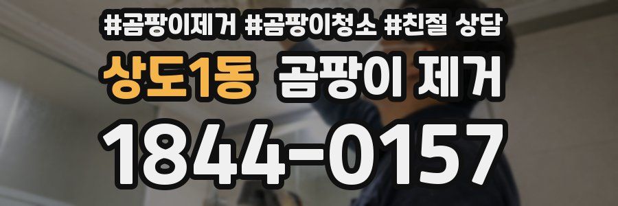 상도1동 곰팡이 제거