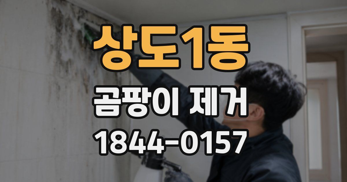 상도1동 곰팡이 제거