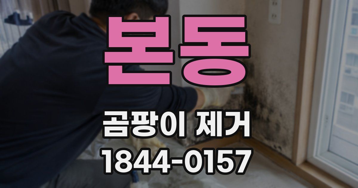 본동 곰팡이 제거