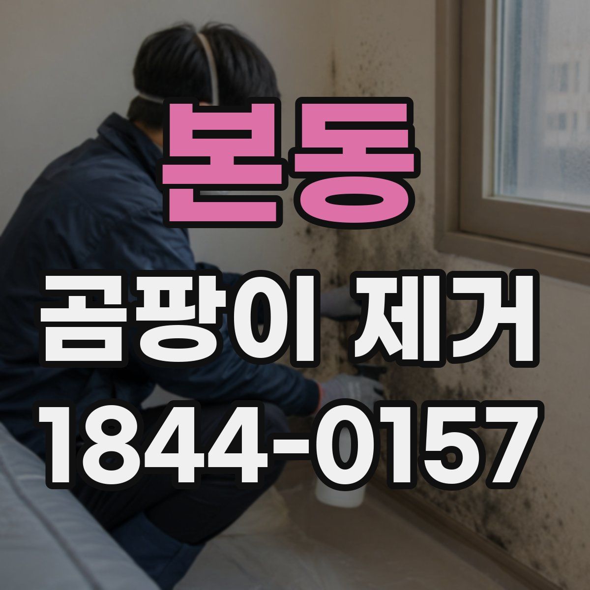 본동 곰팡이 제거