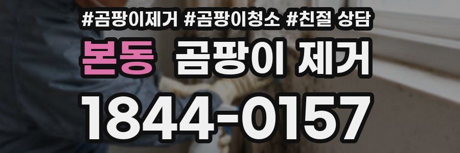 본동 곰팡이 제거