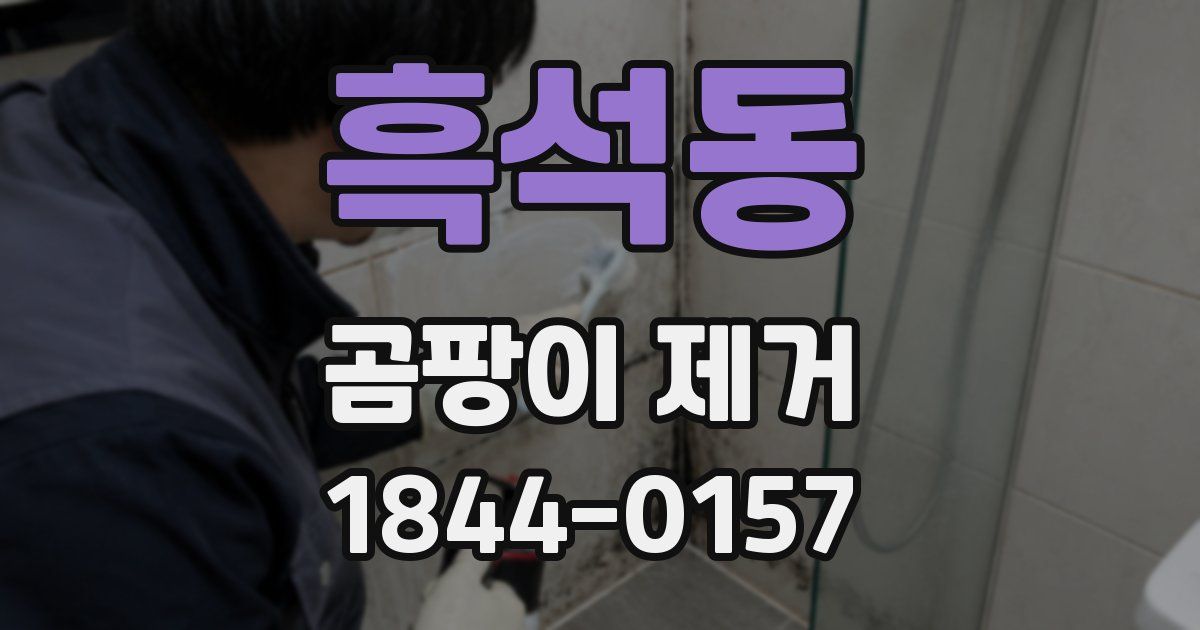 흑석동 곰팡이 제거