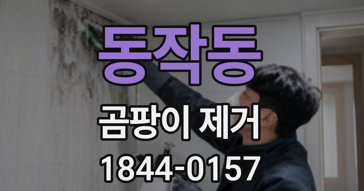 동작동 곰팡이 제거