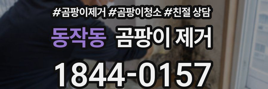 동작동 곰팡이 제거