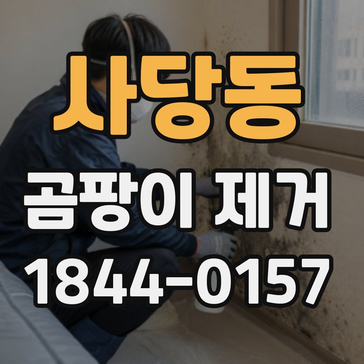 사당동 곰팡이 제거