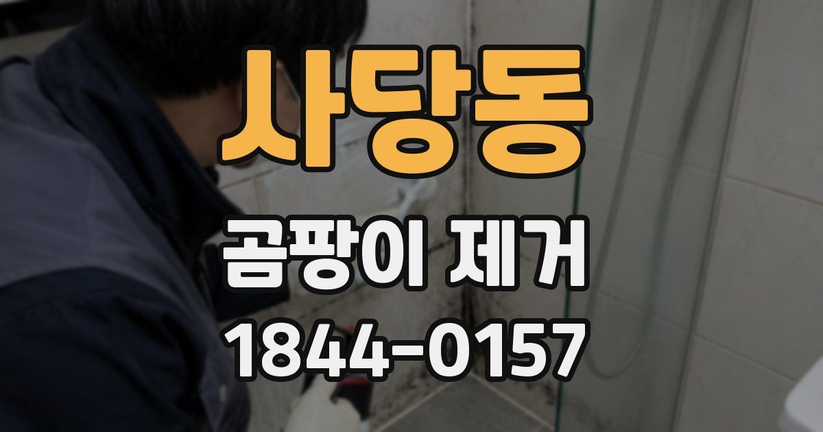 사당동 곰팡이 제거