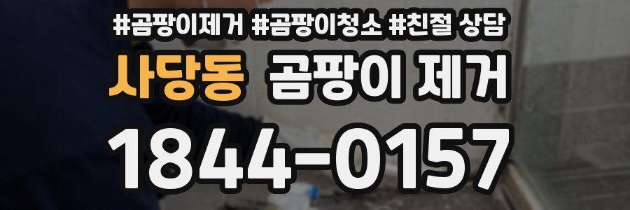 사당동 곰팡이 제거