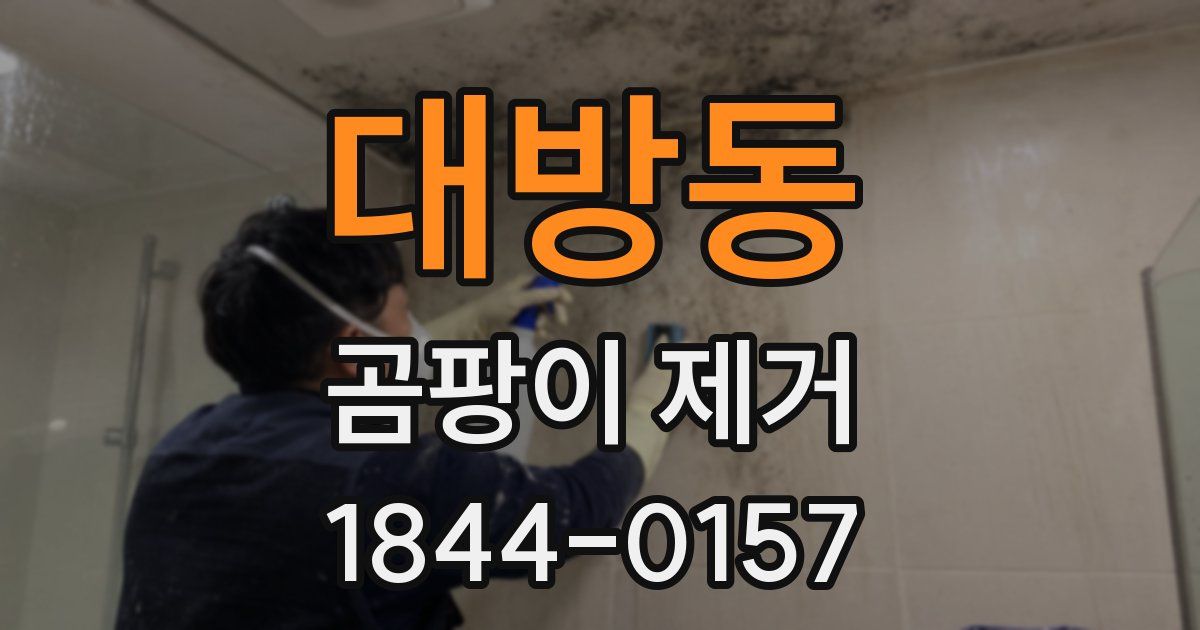 대방동 곰팡이 제거