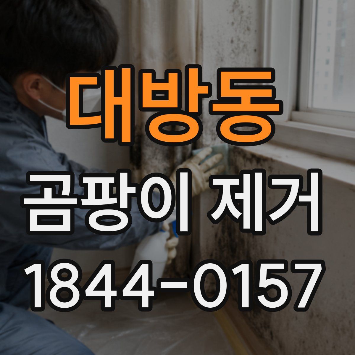 대방동 곰팡이 제거