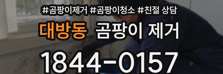 대방동 곰팡이 제거