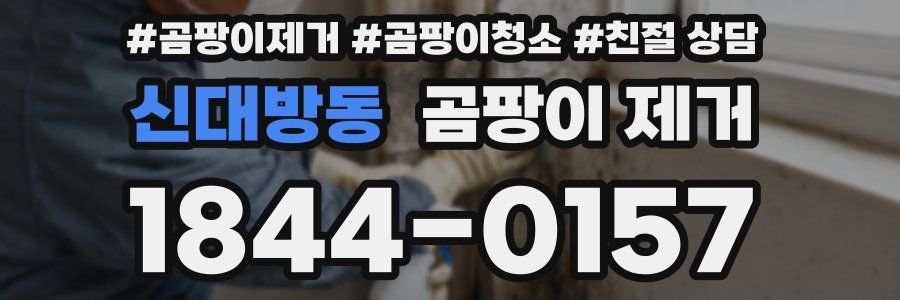 신대방동 곰팡이 제거