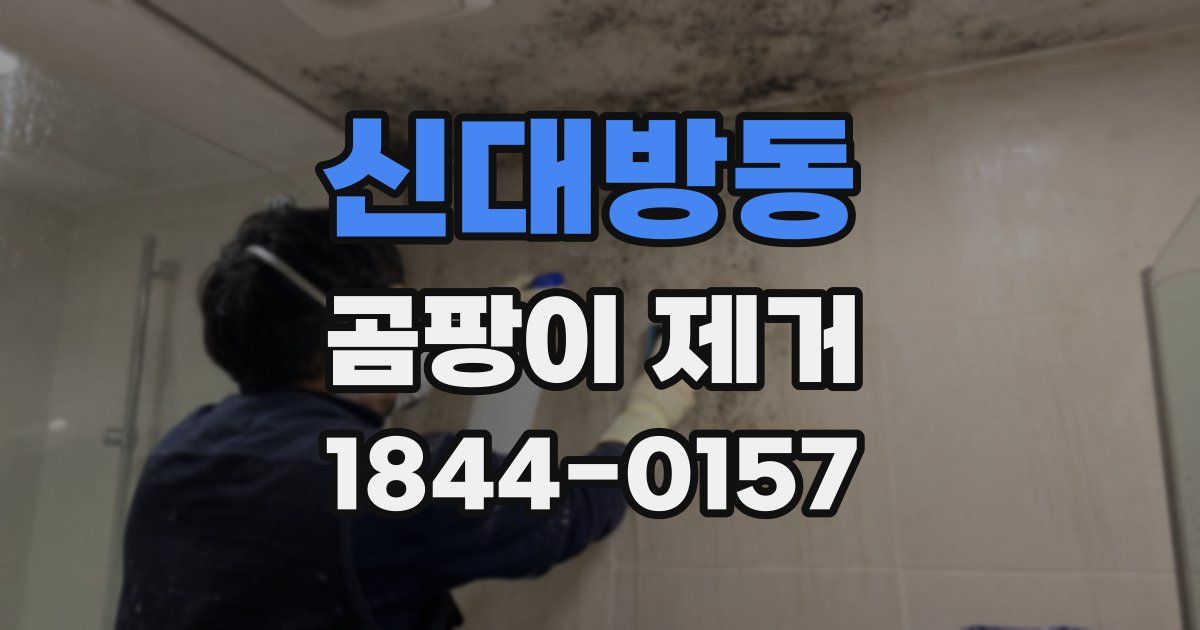 신대방동 곰팡이 제거